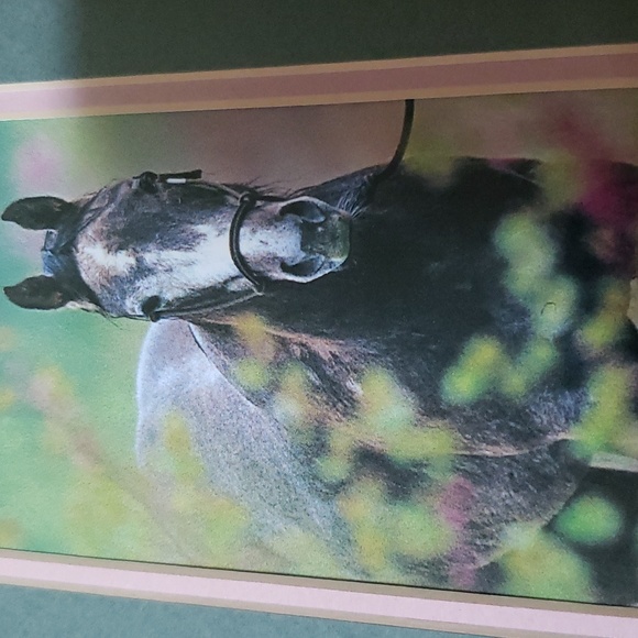 Framed Horse Print Caballo Pony Cowgirl - Picture 3 of 11